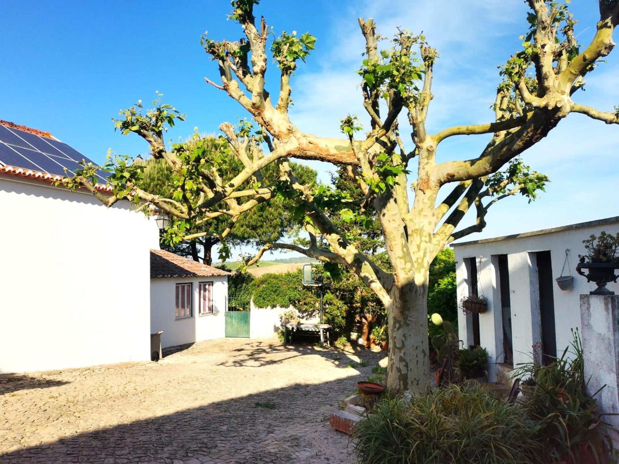 Quinta Santo Antonio Villa Pereiro da Palhacana Exterior photo